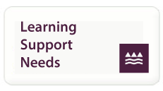 Learning Support Needs